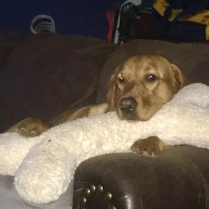 Meet your Posher, Cindy